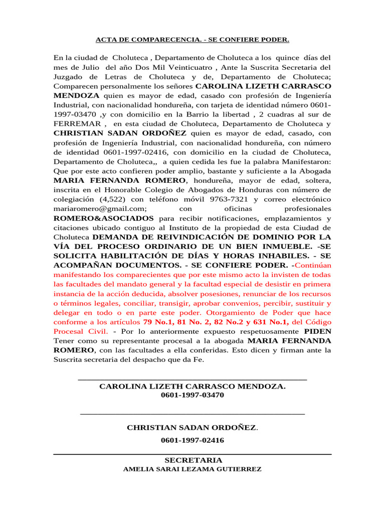 Poder Notarial en Choluteca 2024 | PDF | Honduras | Gobierno