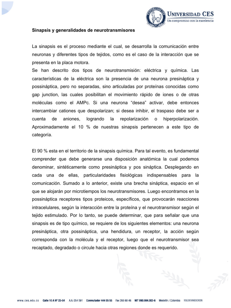 Sinapsis y Neurotransmisores | PDF