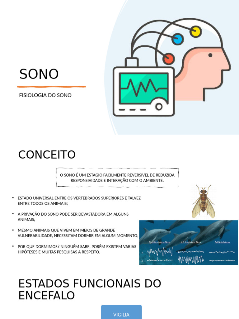 Fisiologia Do Sono | PDF