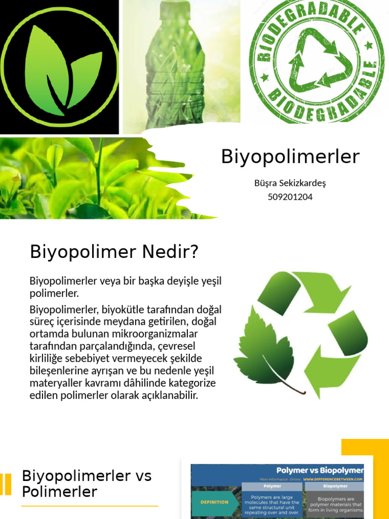Biopolymers Pdf