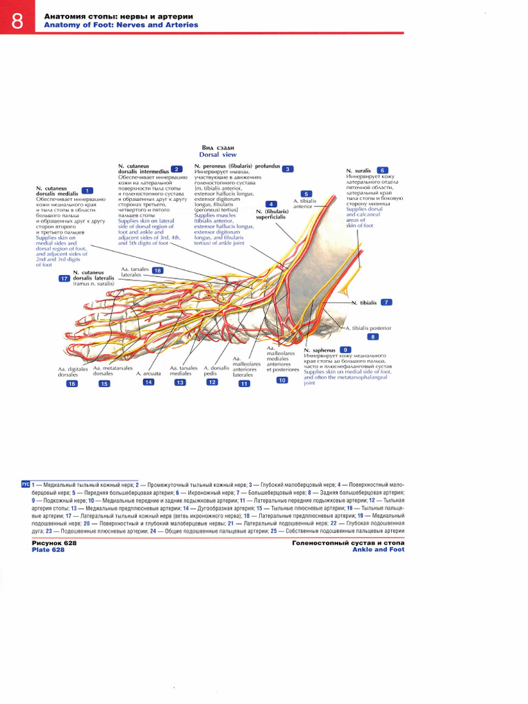 Img 006 | PDF