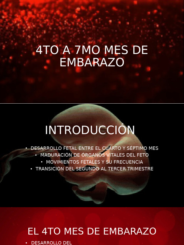 4to A 7mo Mes de Embarazo | PDF