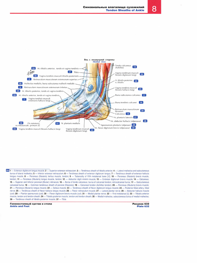 Img 015 | PDF