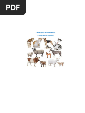 Бір мобильді порно видеодағы тобыр