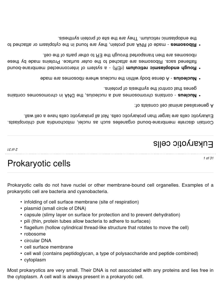 AS Biology Unit 2 Revision Cards PDF Meiosis Mitosis