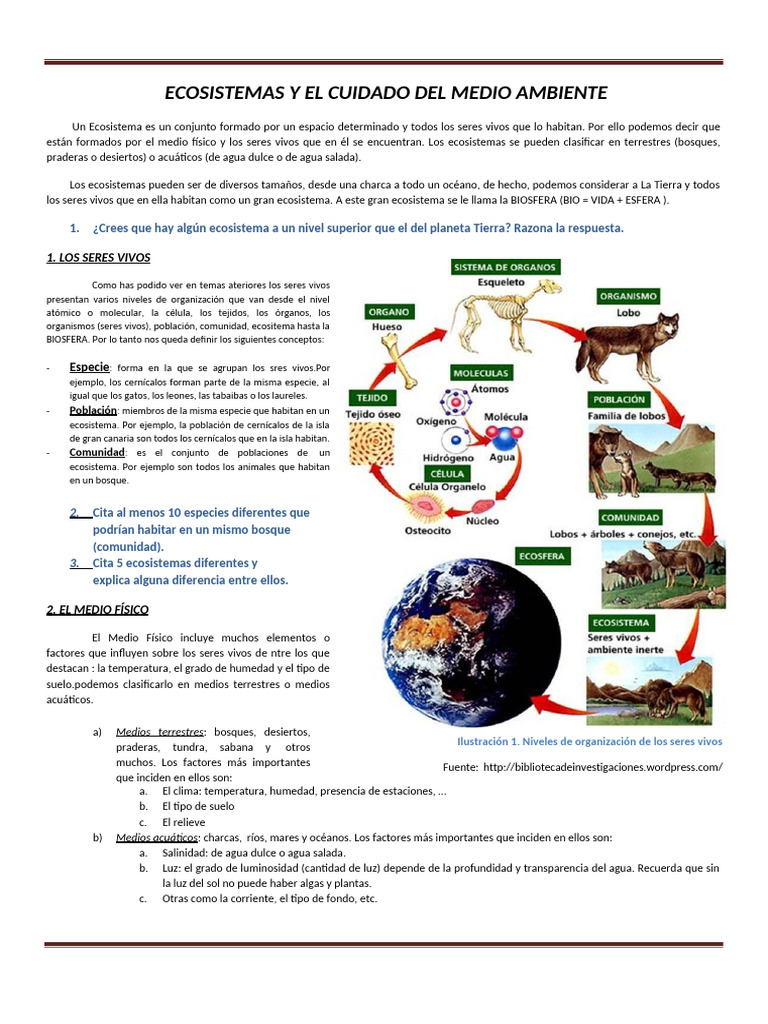 ECOSISTEMAS Y EL CUIDADO DEL MEDIO AMBIENTE Largo Comprimido | PDF