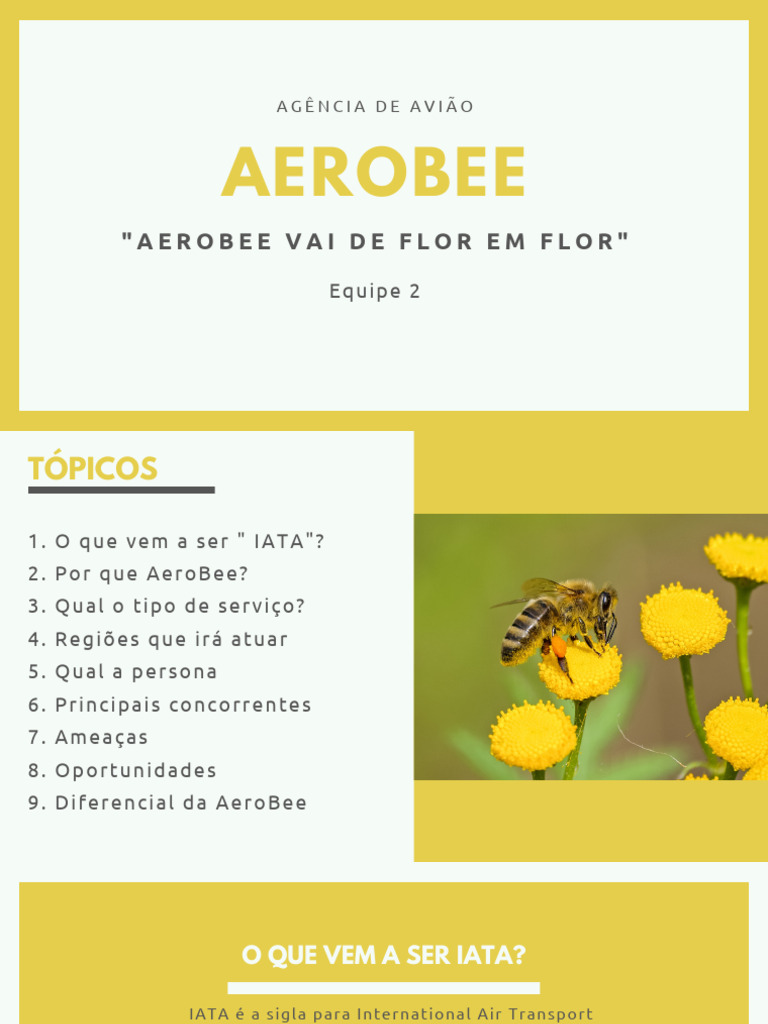 Aero Bee | PDF