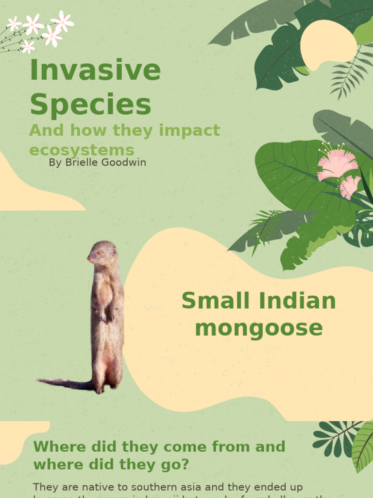 Invasive Species | PDF