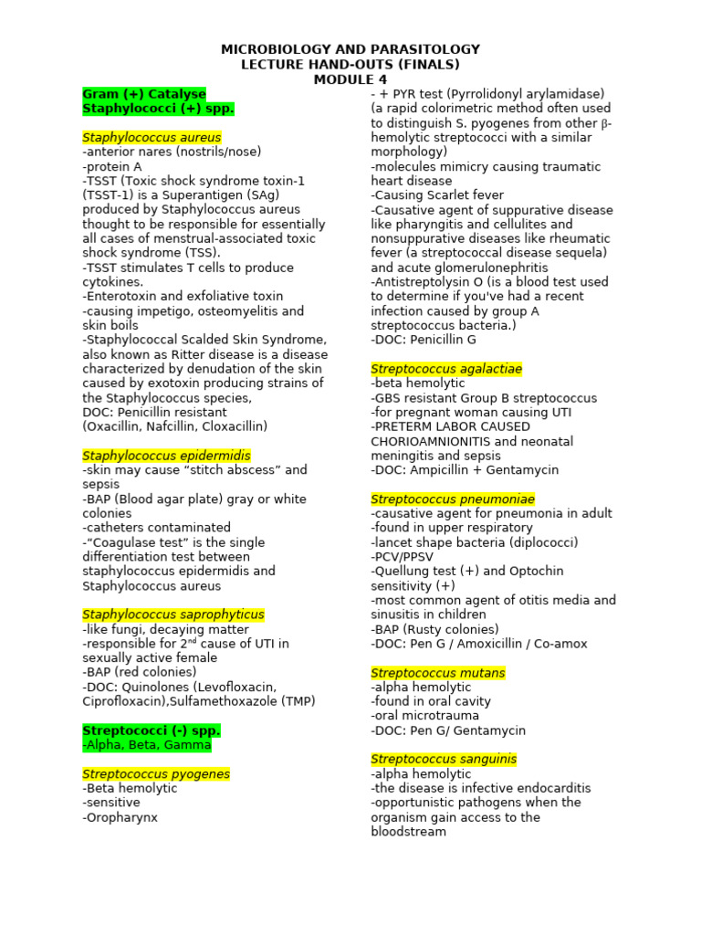 Gram Positive and Negative Bacteria | PDF | Streptococcus | Lyme Disease