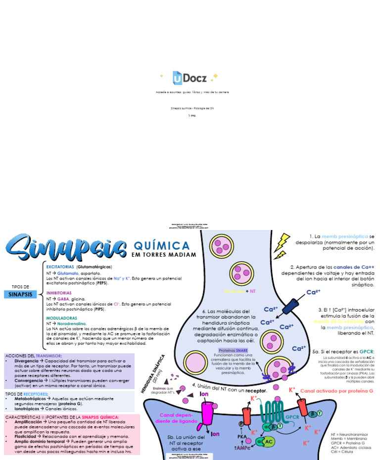 Sinapsis Quimica Fis 103050 Downloadable 3020737 | PDF