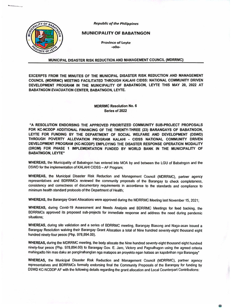 MDRRMC Resolution | PDF