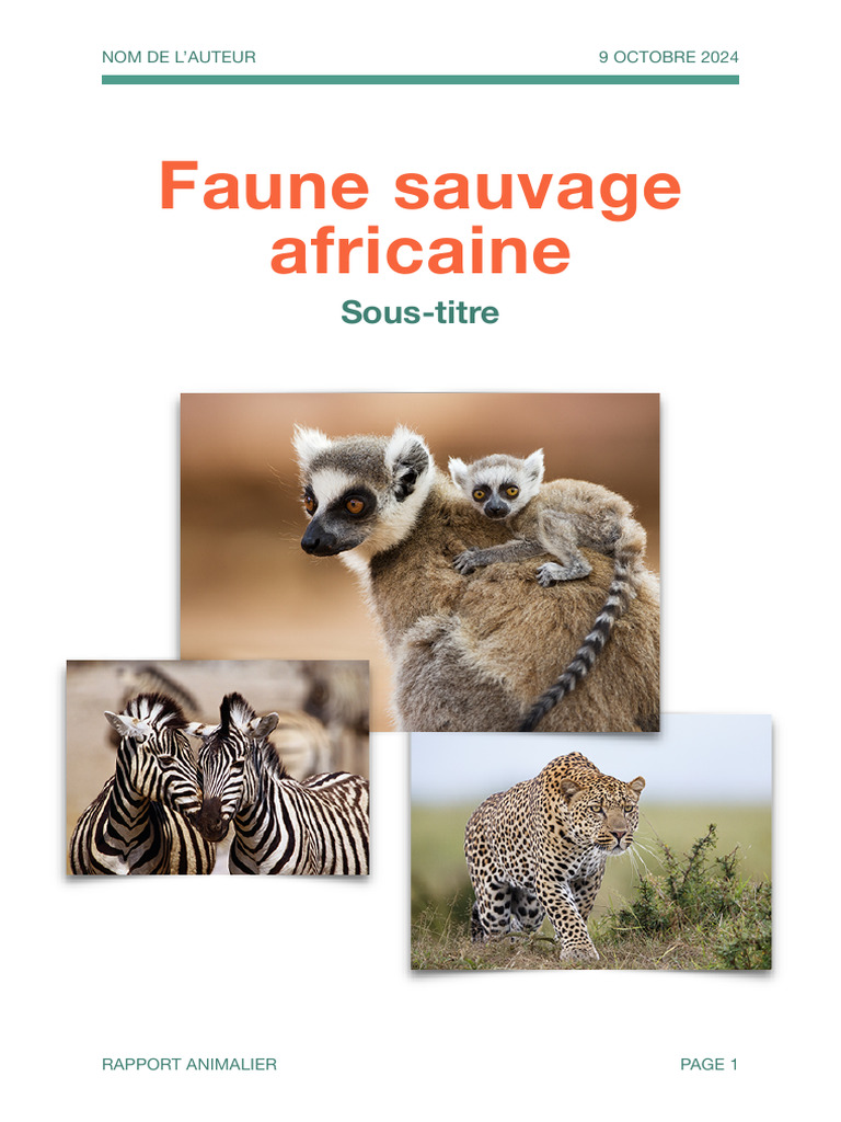 Exposé | PDF
