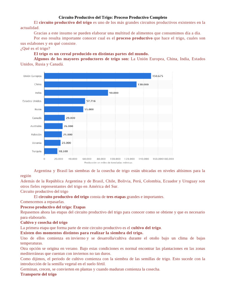 Circuito Productivo del Trigo para Niños | PDF | Trigo | Negocios