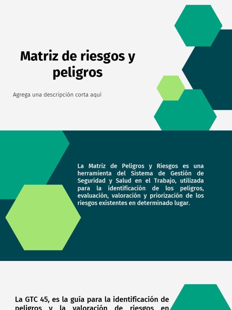 Matriz de Riesgos en Seguridad Laboral | PDF | Riesgo | Crecimiento ...