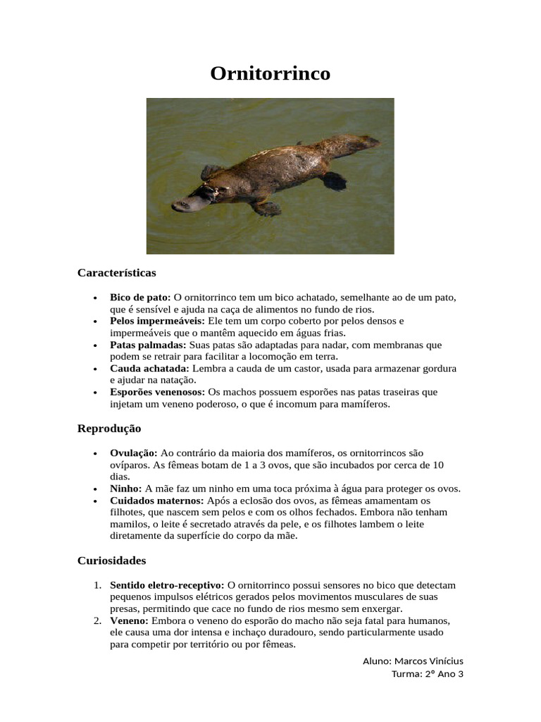 Ornitorrinco | PDF