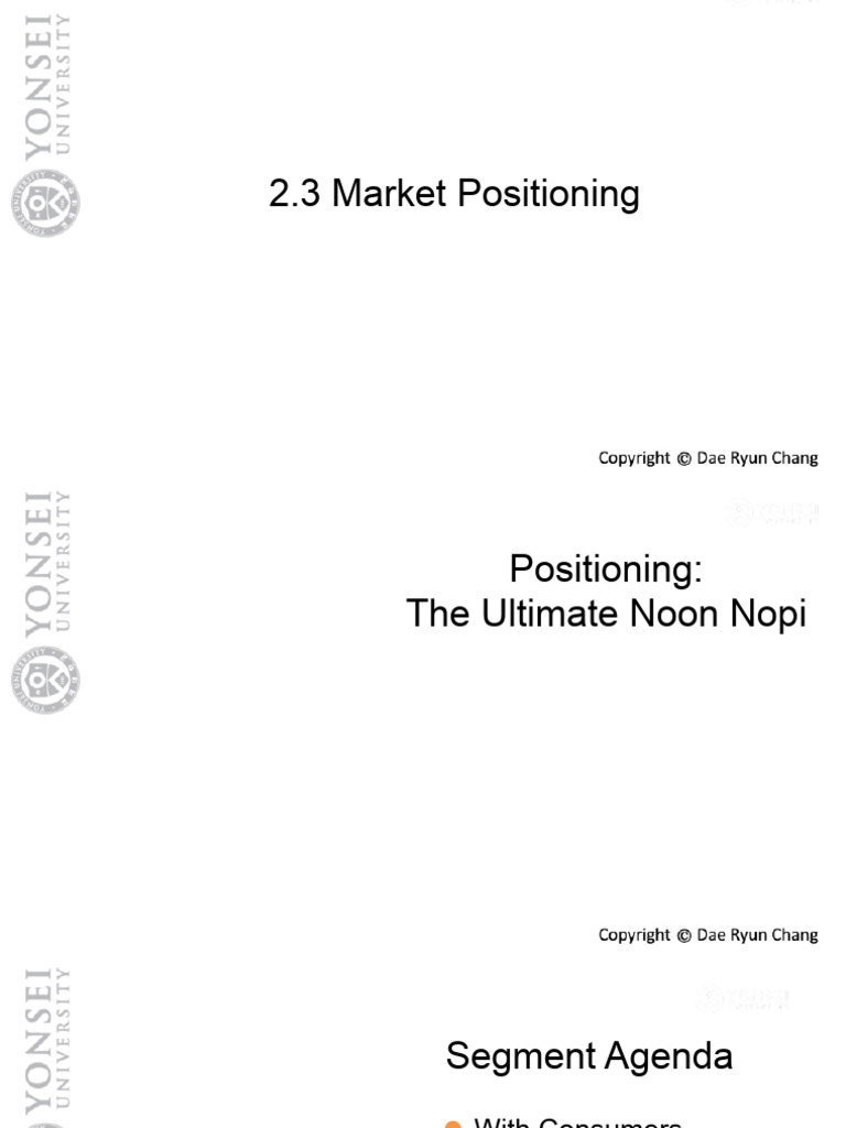 2.3 Market Positioning | PDF