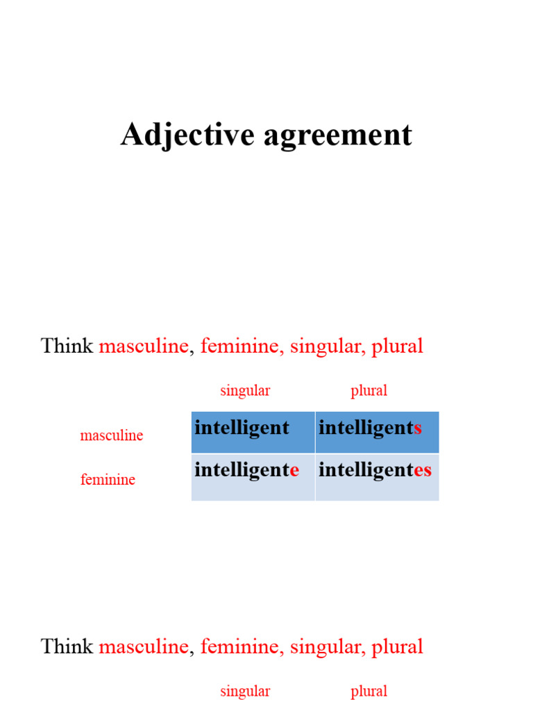 Adjective+agreement PPTX+ | PDF