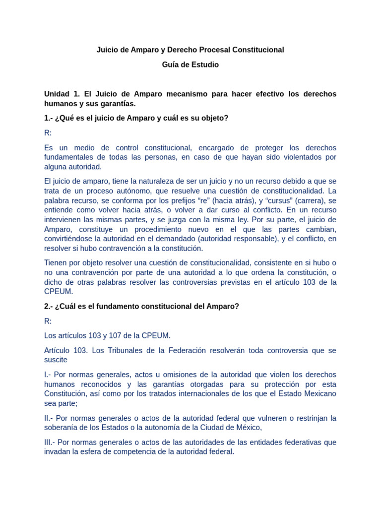 Juicio de Amparo y Derecho Procesal Constitucional | PDF