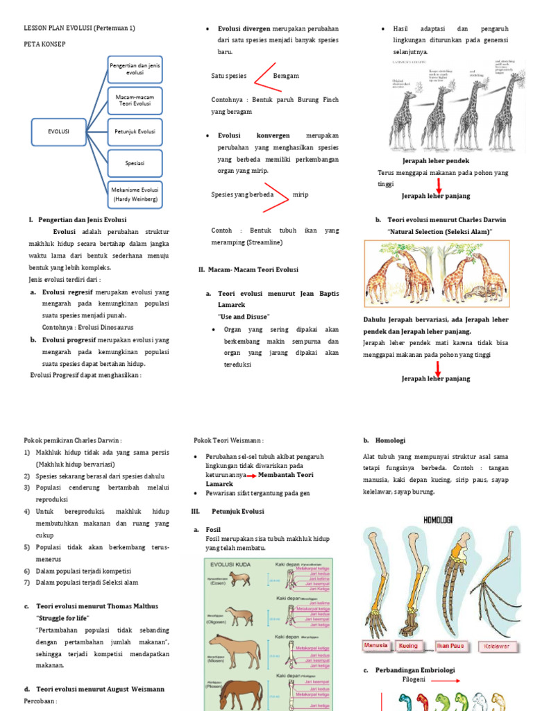 Pengertian Dan Jenis Evolusi | PDF