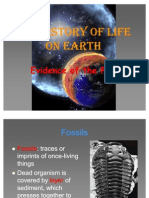 History of Life On Earth