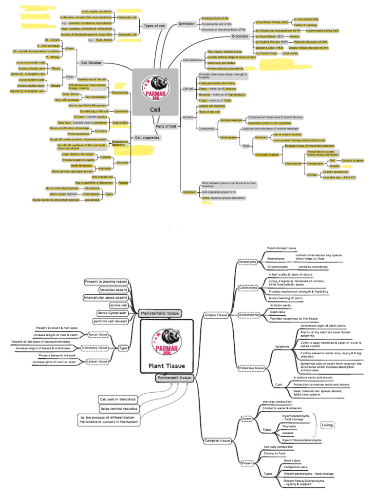 Biology Mind Maps English Pdf