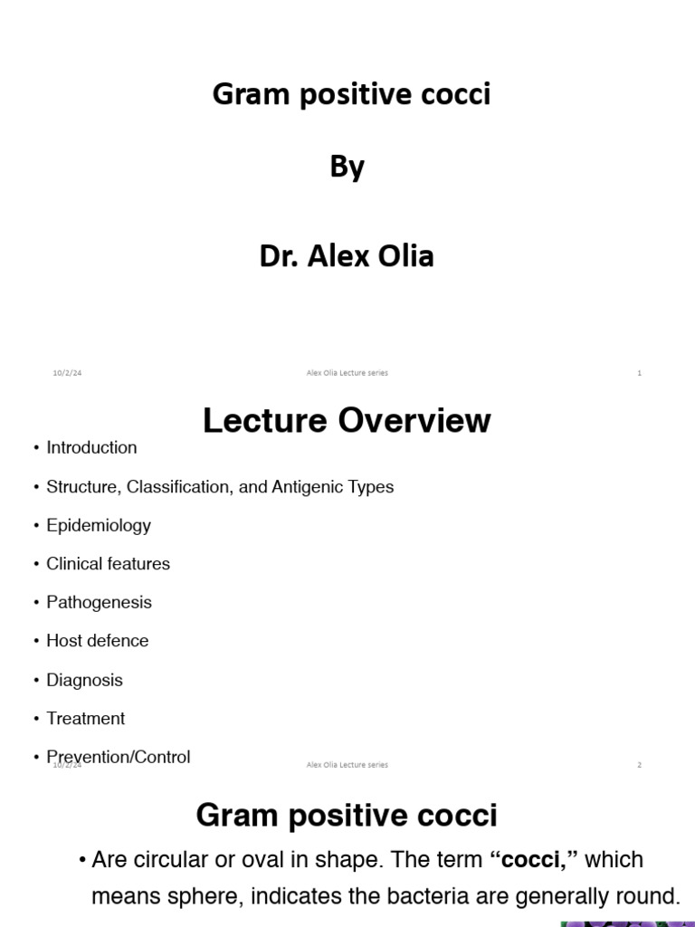 Staphylococcus Yr Ii 1 Pdf