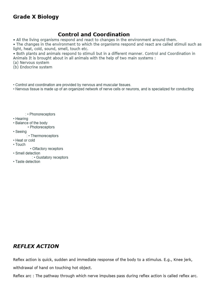 GRD 10 BIOLOGY Control and Coordination REF Notes | PDF