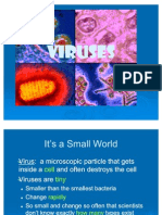 Viruses