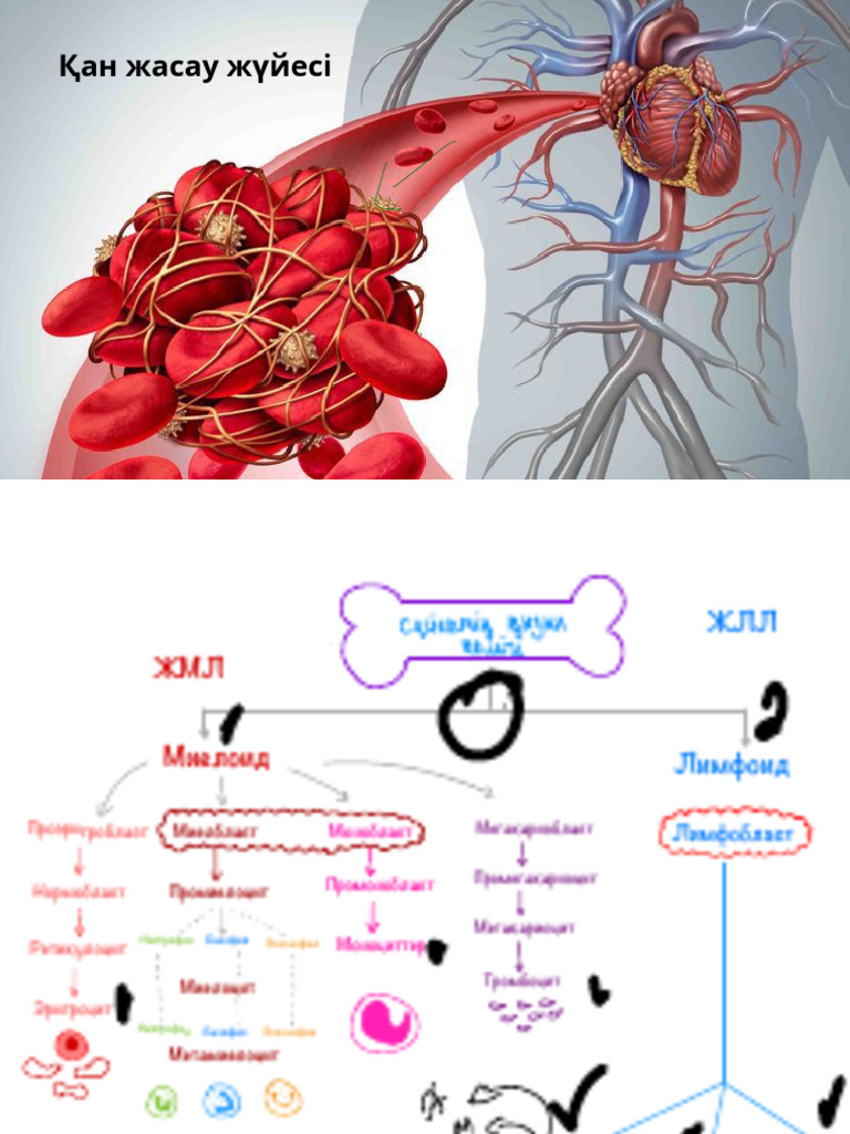 Супер порно орыс