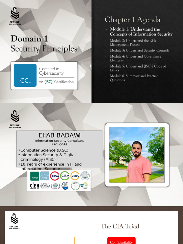Domain 1 - Module 1 (CIA Triad) | PDF