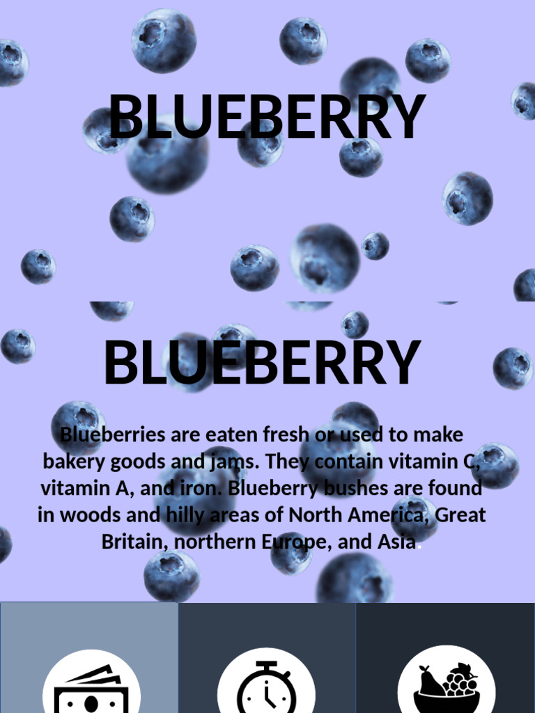 BLUEBERYY | PDF