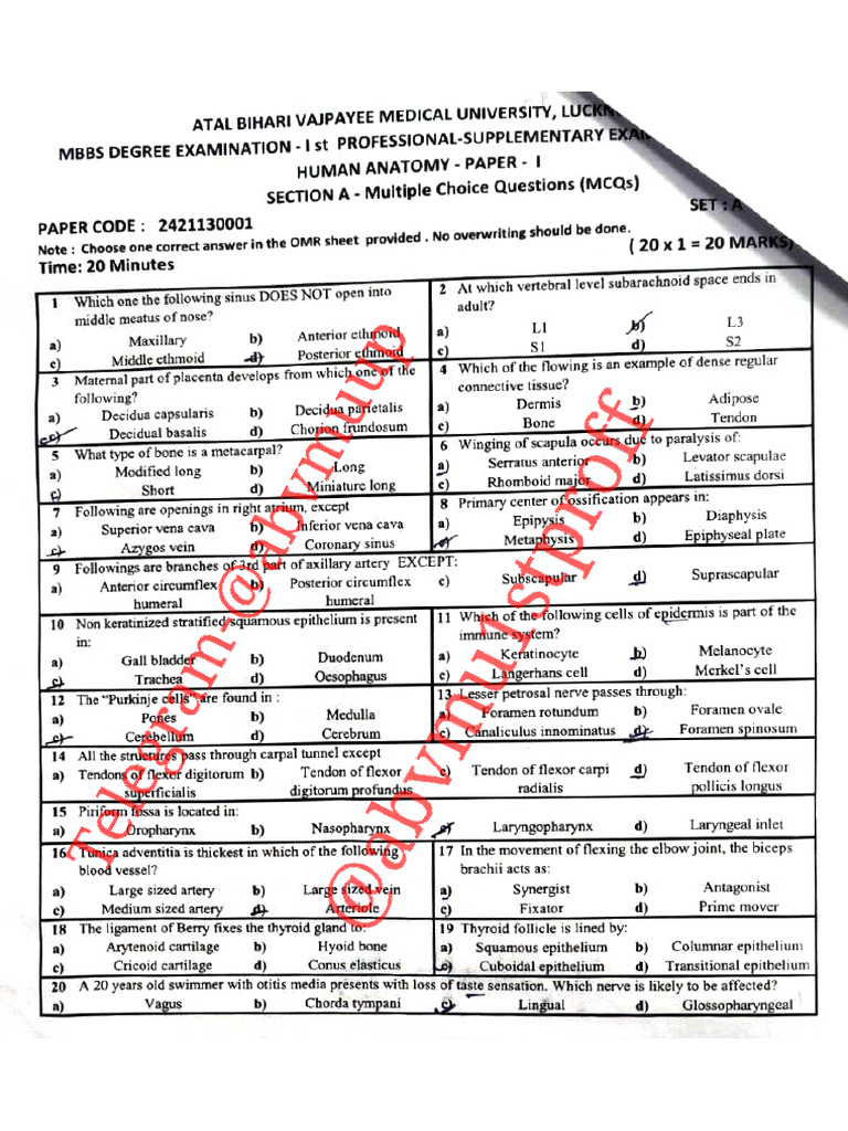 2022 Batch 1st Proff Supply Paper | PDF