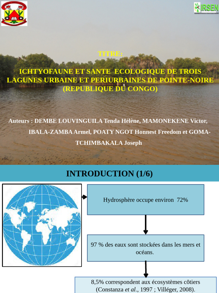Communication DEMBE | PDF