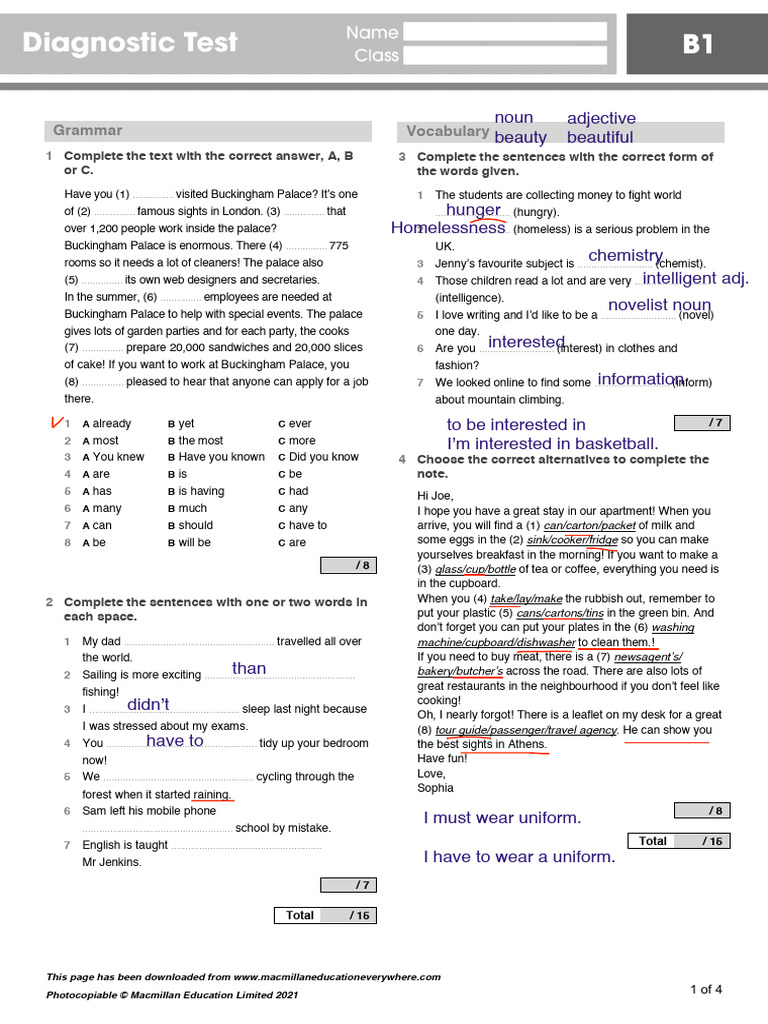 B1 Diagnostic Test | PDF
