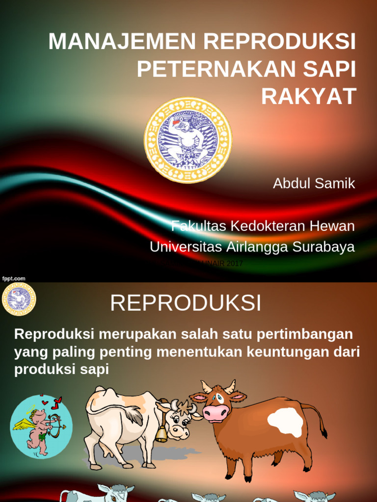 Manajemen Repro Sapi Rakyat 2017 | PDF