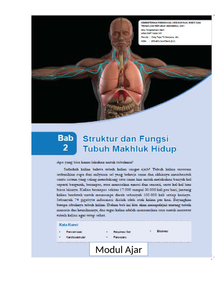 Modul Ajar Bab 2 | PDF