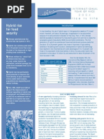 Hybrid Rice Technology