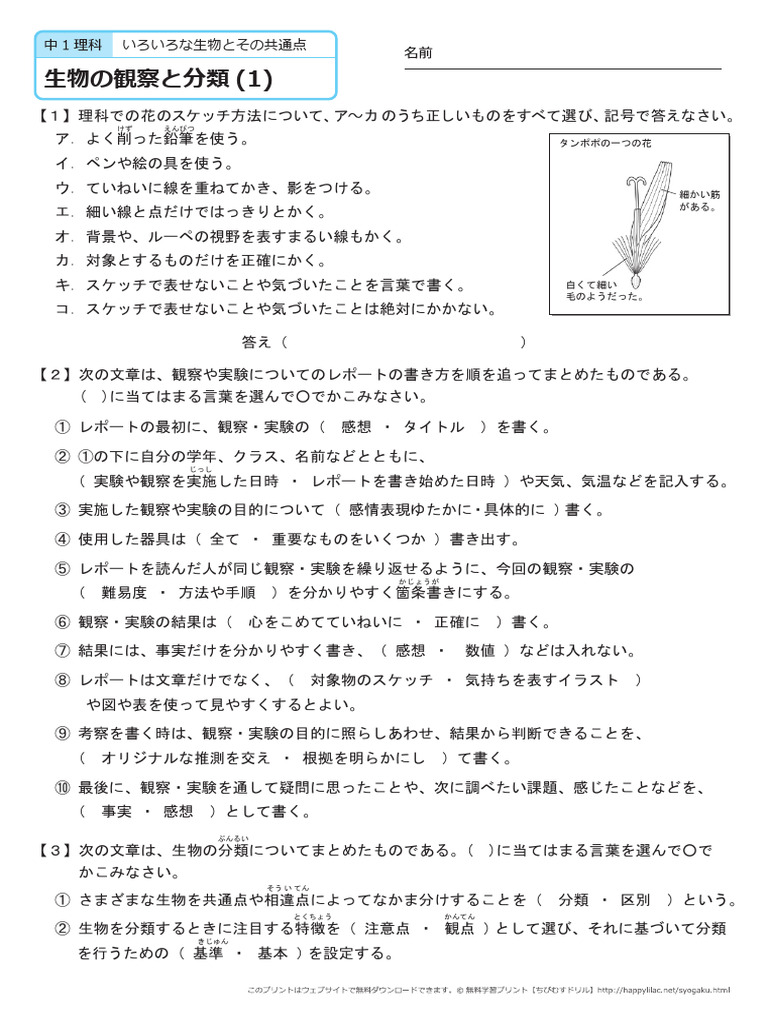 生物の観察と分類 | PDF