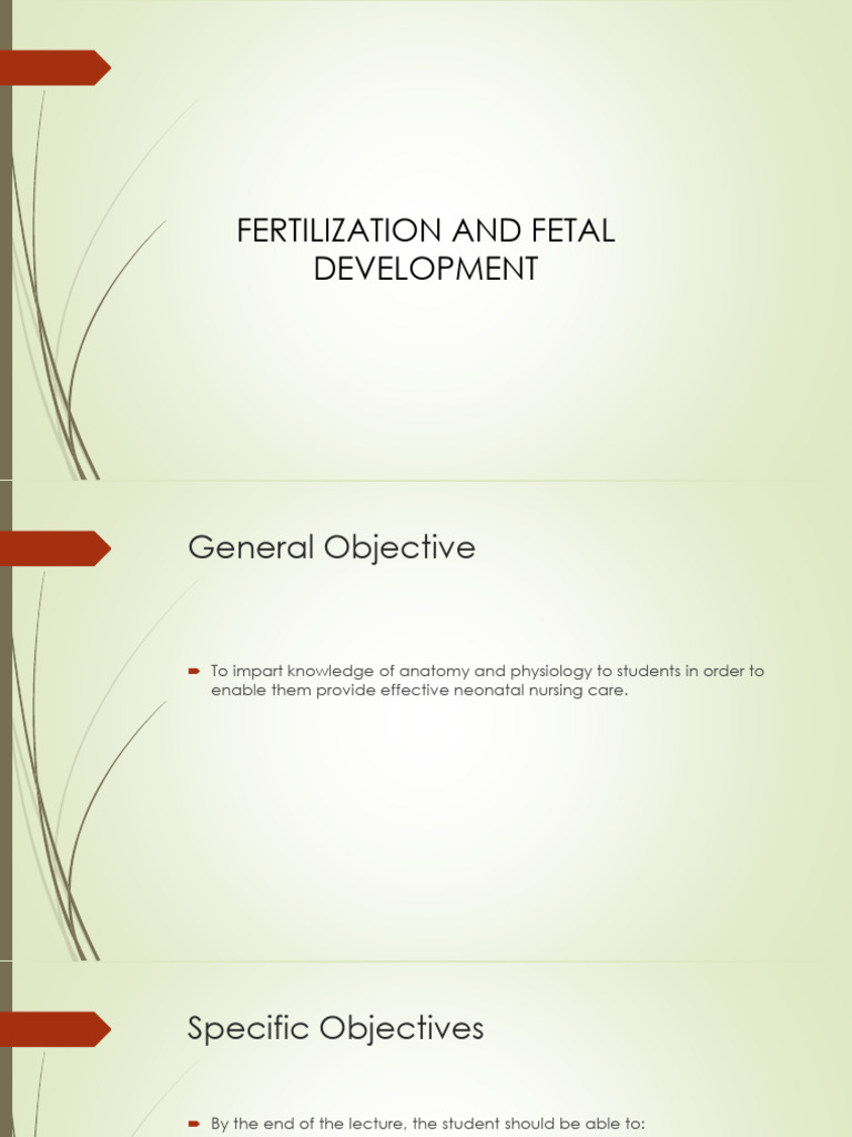 FERTILIZATION AND FETAL DEVELOPMENT | PDF