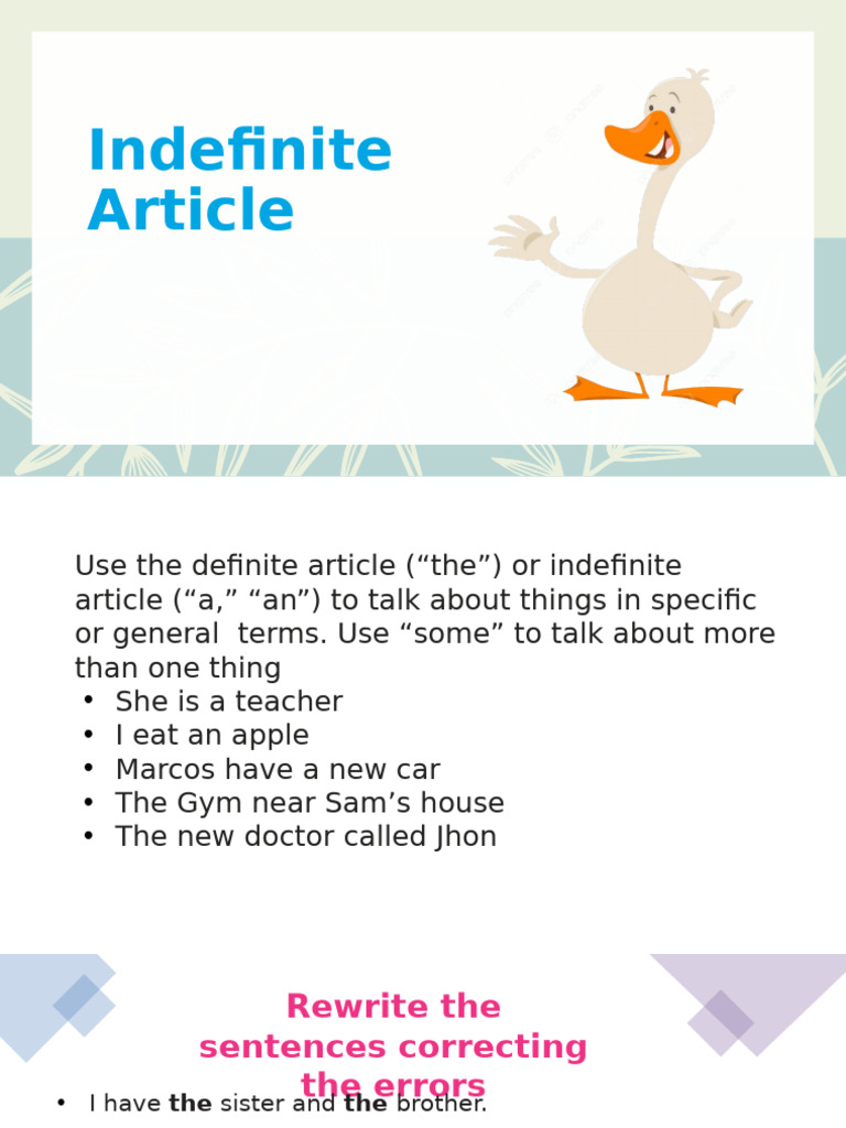 Indefinite Article | PDF