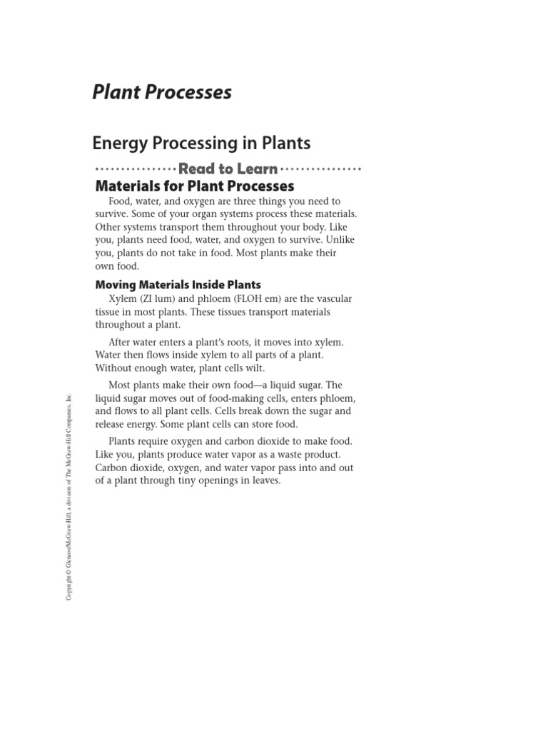 Chapter 11 Lesson 1 Pdf