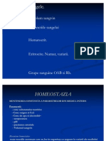 Curs 1 - Homeostazia