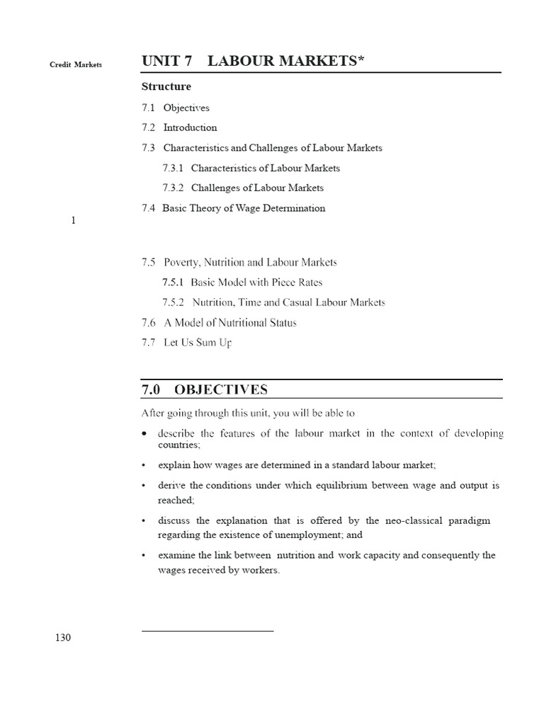 Labor and Credit Markets | PDF