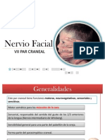 Nervio Facial