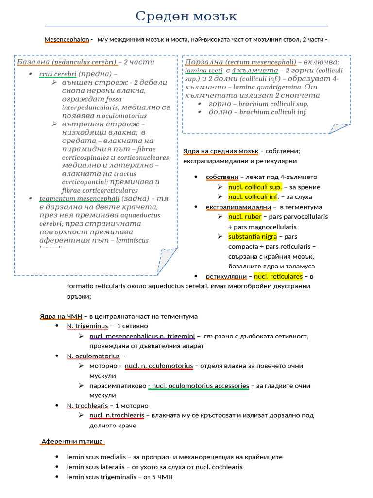 Среден мозък | PDF