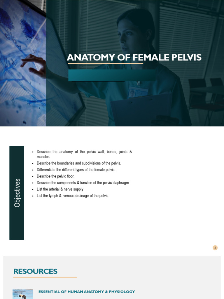 L3) Anatomy of Female Pelvis | PDF