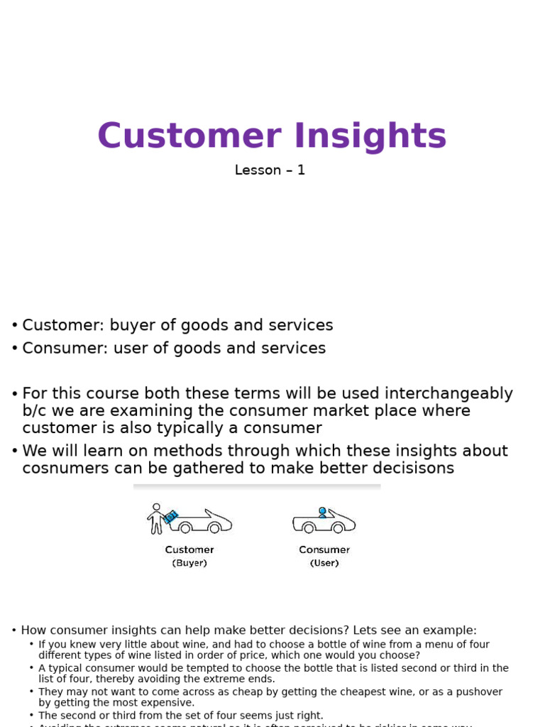 Customer Insights: Lesson - 1 | PDF