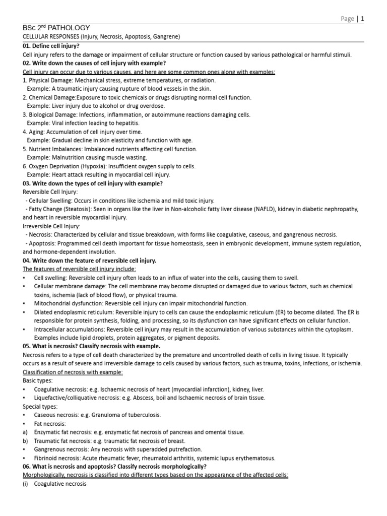 2nd Pathology | PDF