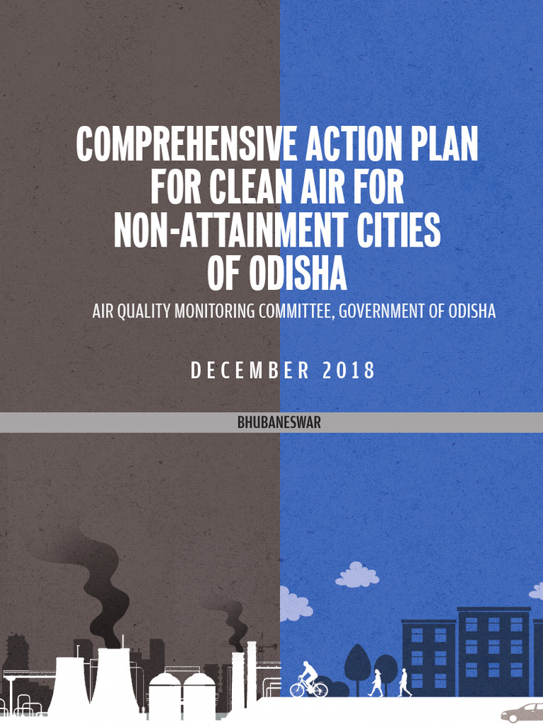 COMPREHENSIVE ACTION PLAN | PDF