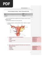 13. Ficha de avaliação formativa (para alunos com plano individual de trabalho) do dia 25 de maio de 2011